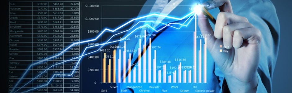 GESTÃOflex, Sistema para Gestão Empresarial